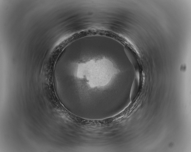 X0000099410919200805091216