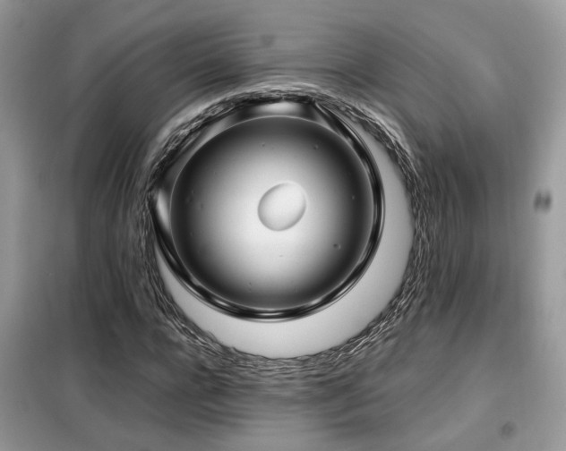 X0000099410920200805091216