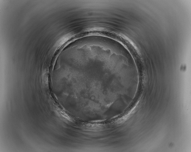 X0000099410921200805091216
