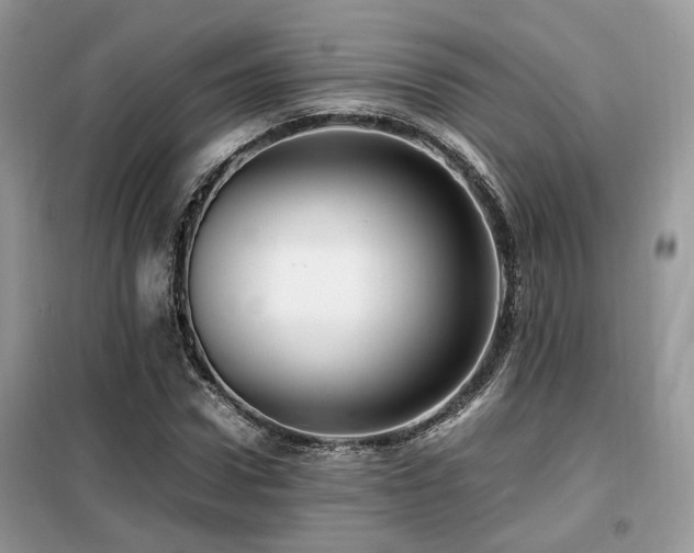 X0000099410922200805091216