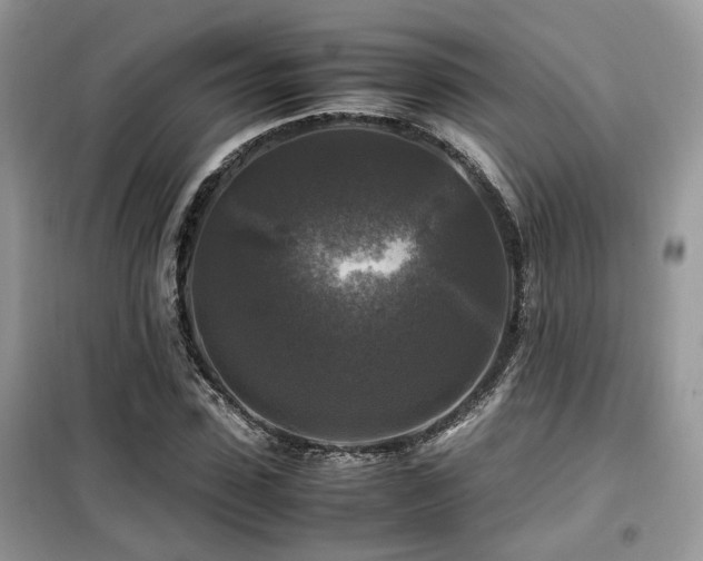 X0000099410923200805091216