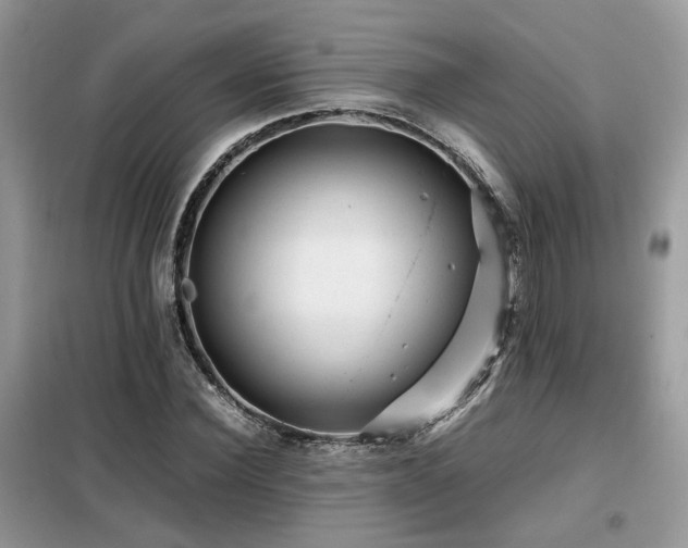 X0000099410924200805091216
