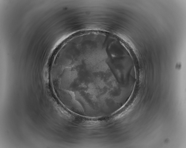 X0000099410925200805091216