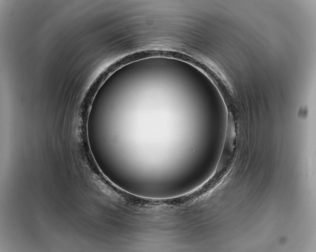 X0000099410926200805091216