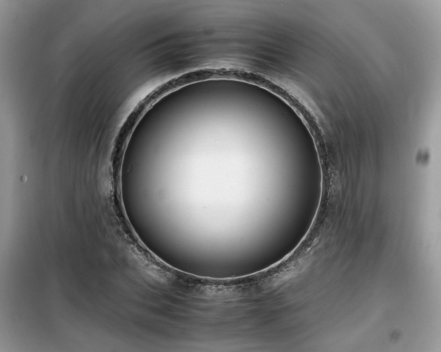 X0000099410927200805091216
