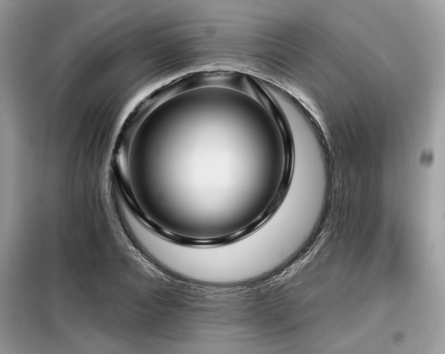 X0000099410928200805091216