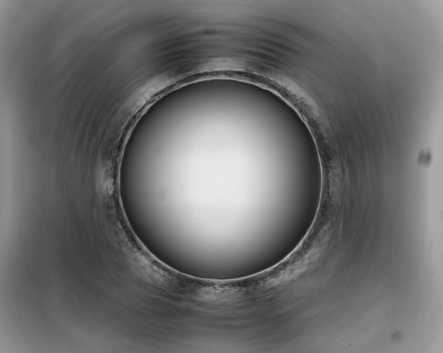 X0000099410929200805091216