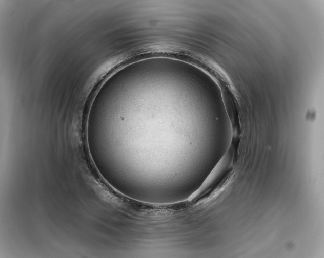 X0000099410930200805091216