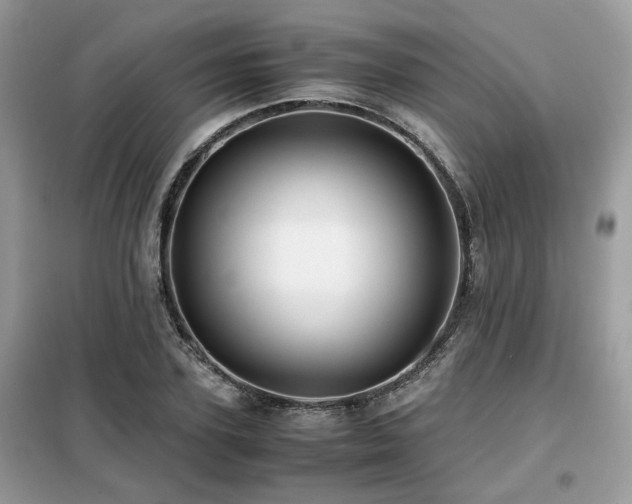 X0000099410931200805091216