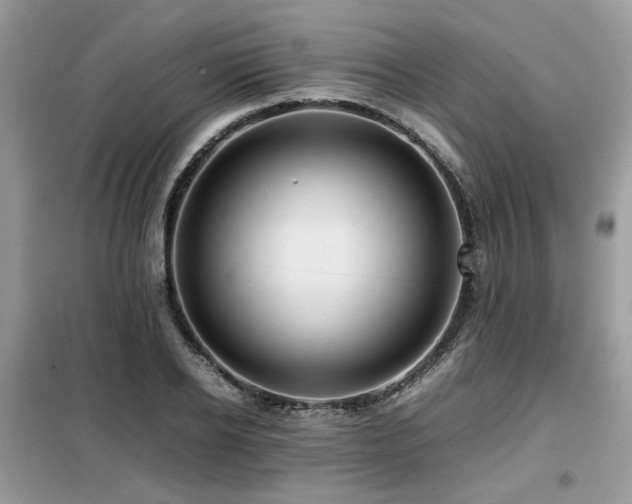 X0000099410934200805091216