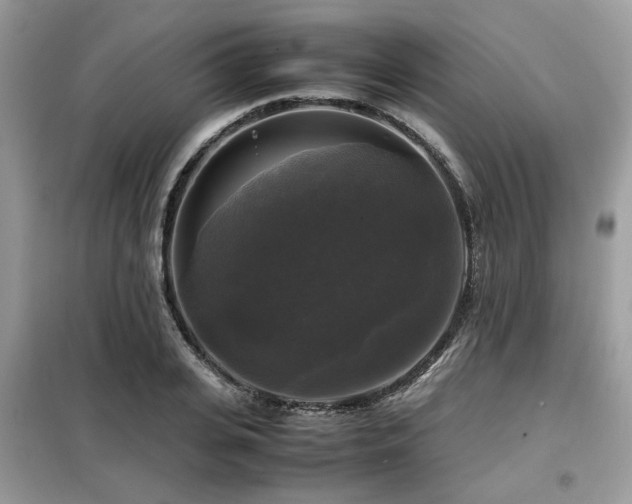 X0000099410935200805091216