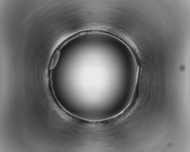 X0000099410936200805091216