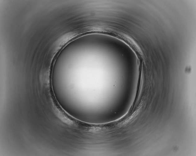 X0000099410938200805091216