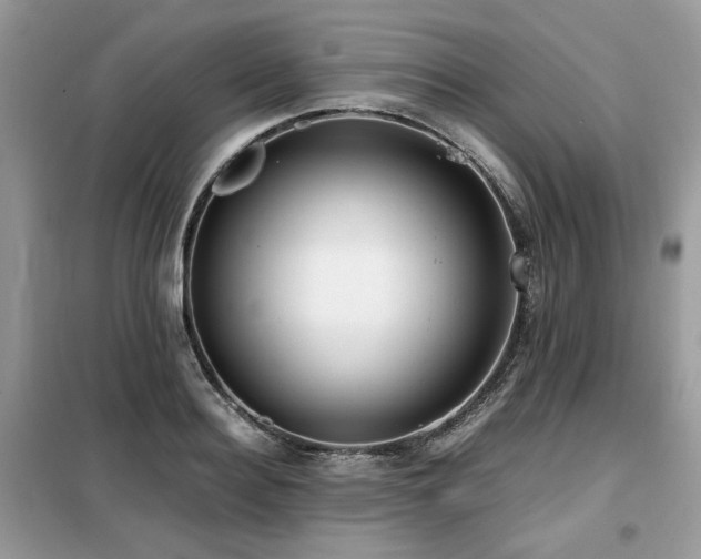 X0000099410940200805091216