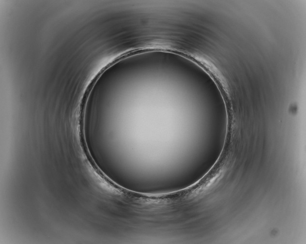 X0000099410941200805091216