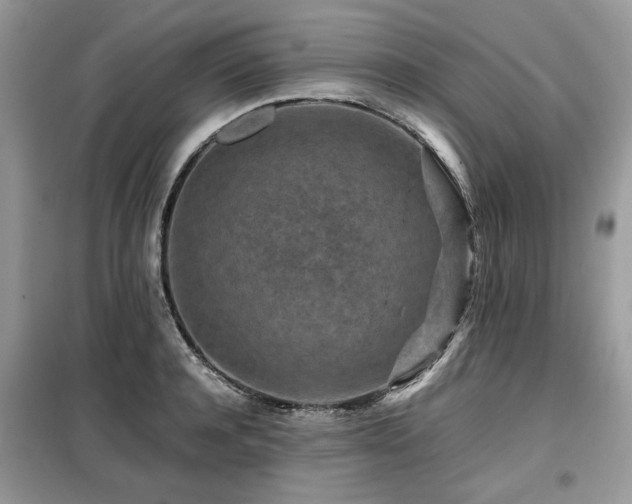 X0000099410944200805091216
