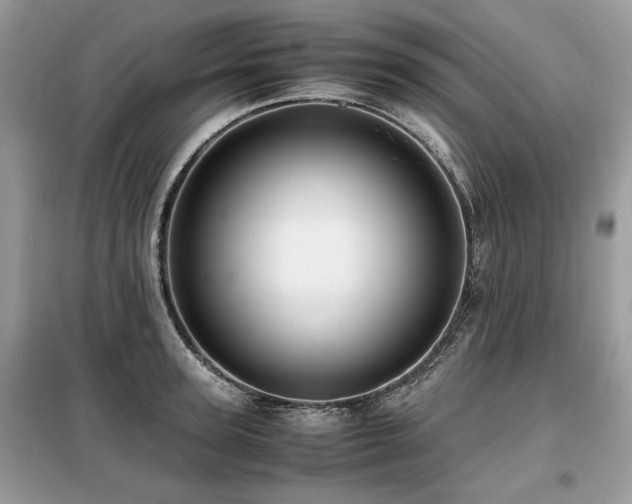 X0000099410947200805091216