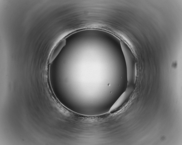 X0000099410948200805091216