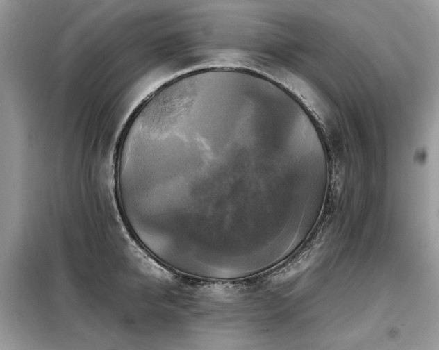 X0000099410950200805091216