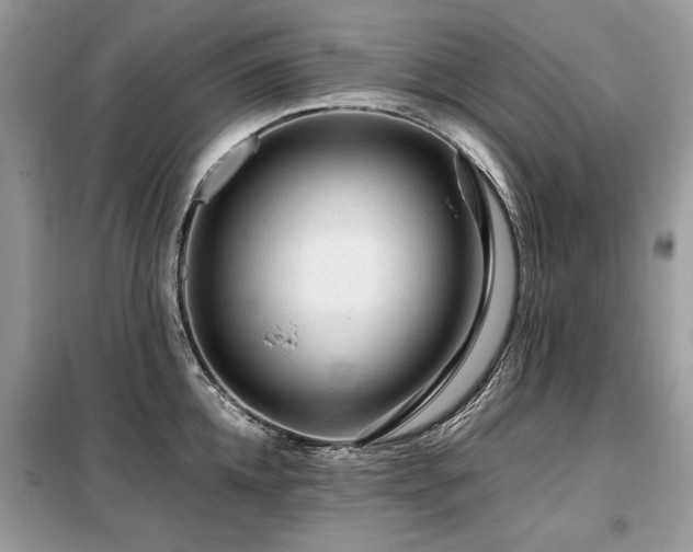 X0000099410952200805091216