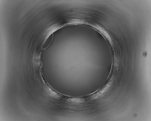 X0000099410953200805091216