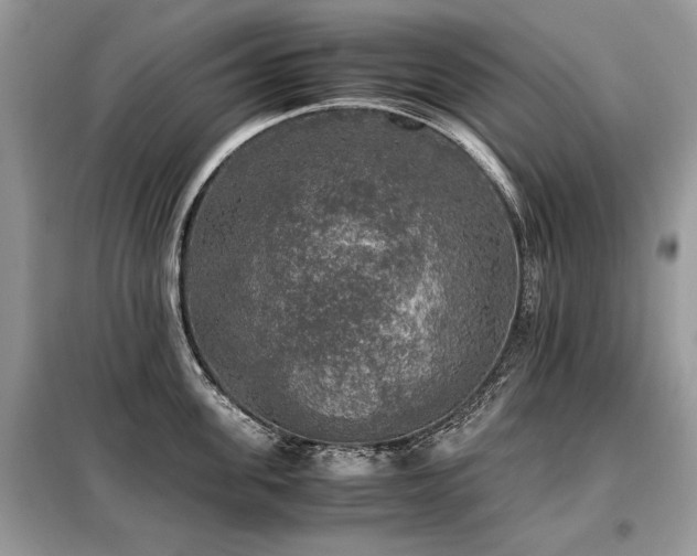 X0000099410955200805091216