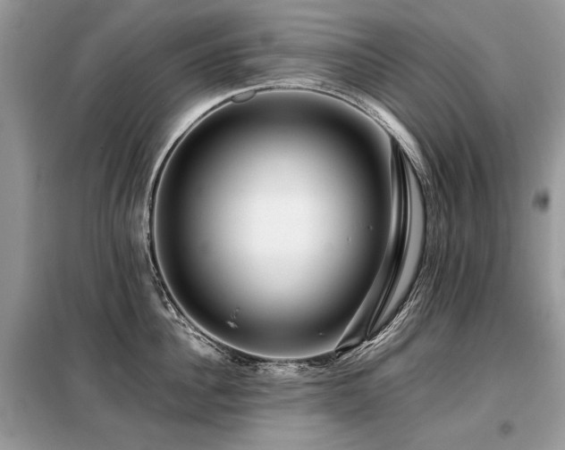 X0000099410956200805091216
