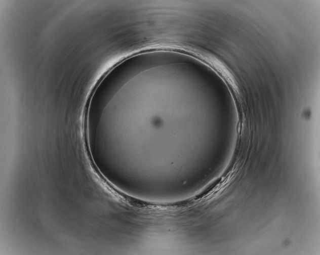 X0000099410958200805091216