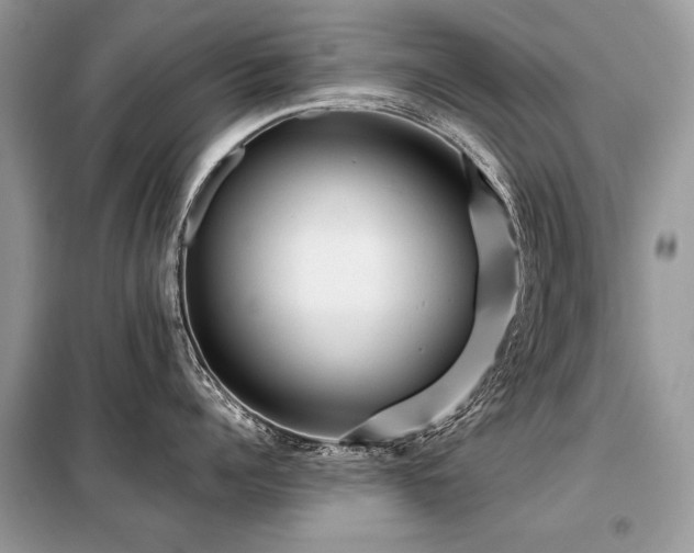 X0000099410960200805091216