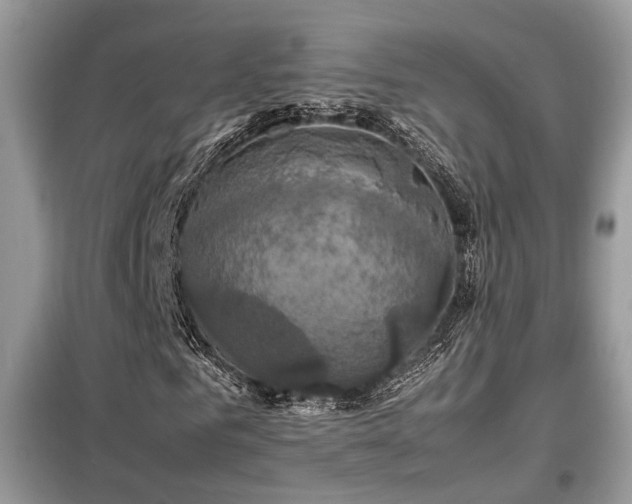 X0000099410961200805091216
