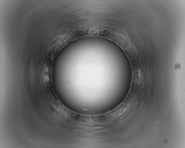 X0000099410962200805091216