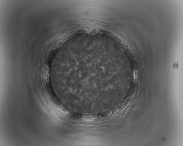 X0000099410963200805091216