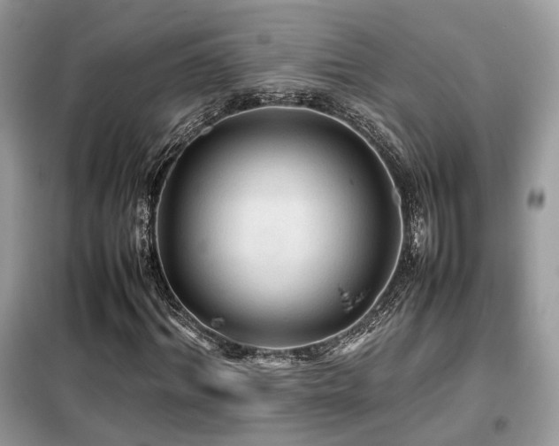 X0000099410964200805091216