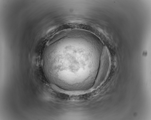 X0000099410965200805091216