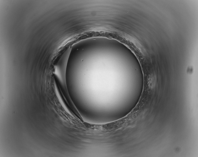 X0000099410968200805091215