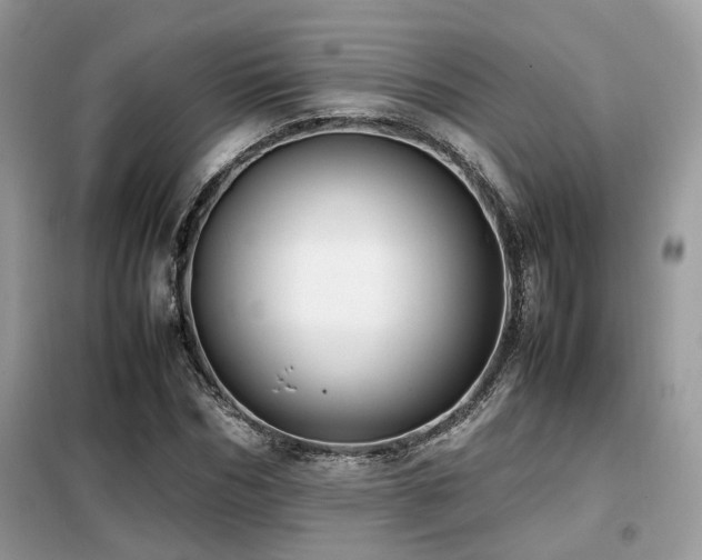 X0000099410970200805091215