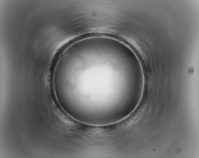 X0000099410971200805091215