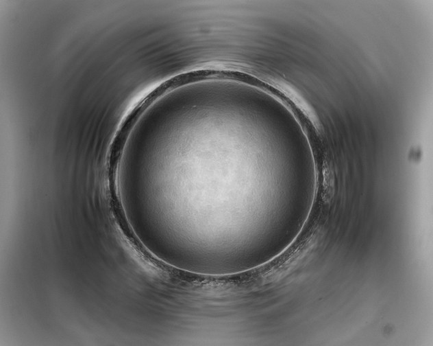 X0000099410972200805091215