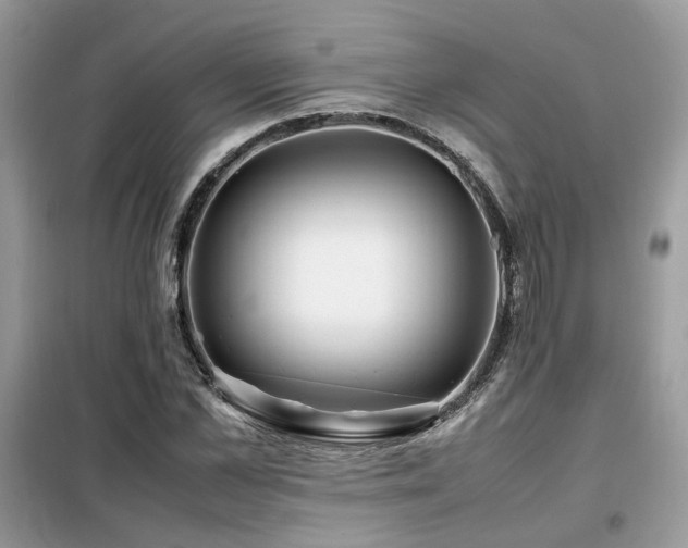 X0000099410973200805091215