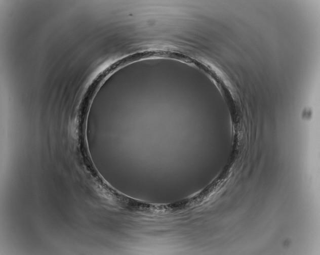 X0000099410975200805091215