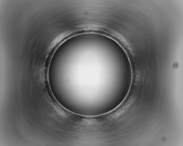 X0000099410978200805091215
