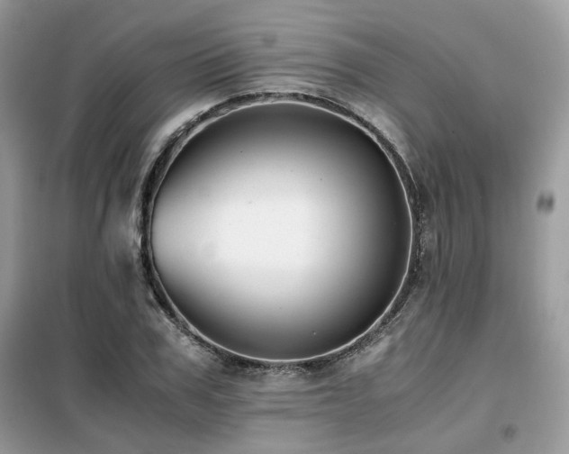 X0000099410979200805091215