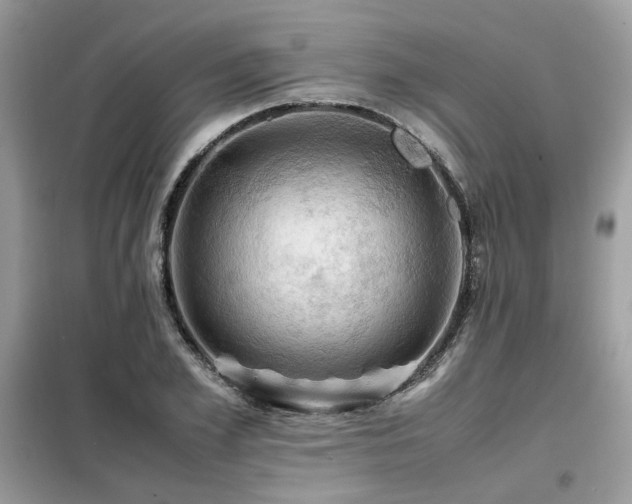 X0000099410981200805091215