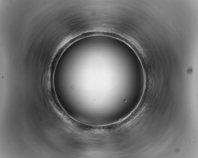 X0000099410982200805091215