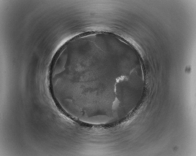 X0000099410983200805091215