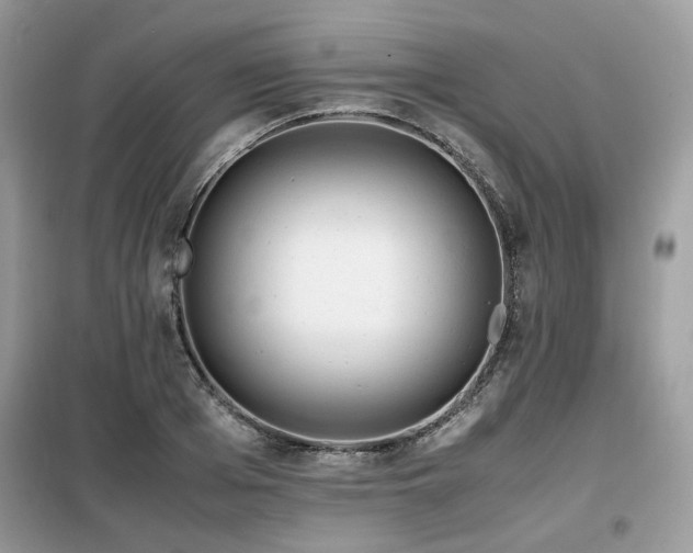 X0000099410985200805091215