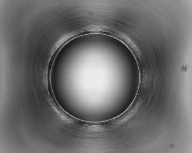 X0000099410986200805091215