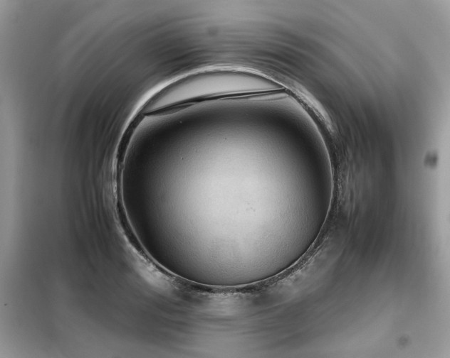 X0000099410988200805091215