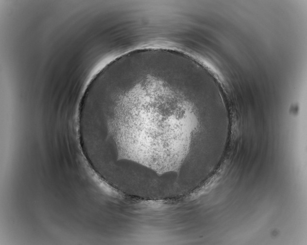 X0000099410990200805091215