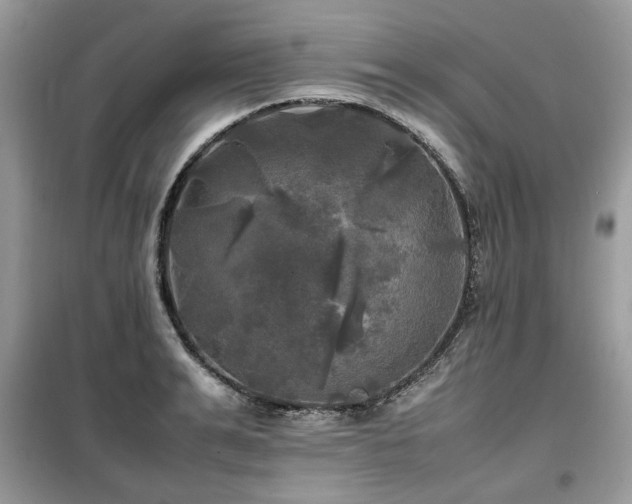 X0000099410991200805091215
